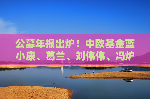 公募年報(bào)出爐！中歐基金藍(lán)小康、葛蘭、劉偉偉、馮爐丹最新觀點(diǎn)一覽