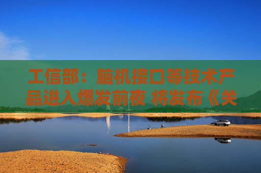 工信部：腦機(jī)接口等技術(shù)產(chǎn)品進(jìn)入爆發(fā)前夜 將發(fā)布《關(guān)于推動(dòng)腦機(jī)接口產(chǎn)業(yè)創(chuàng)新發(fā)展的指導(dǎo)意見》