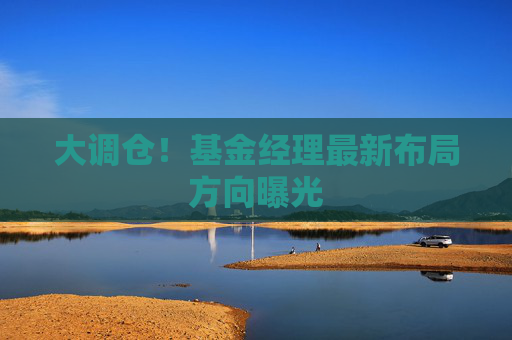 大調(diào)倉！基金經(jīng)理最新布局方向曝光