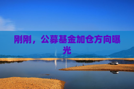 剛剛，公募基金加倉方向曝光