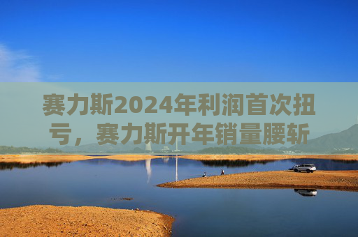 賽力斯2024年利潤首次扭虧，賽力斯開年銷量腰斬