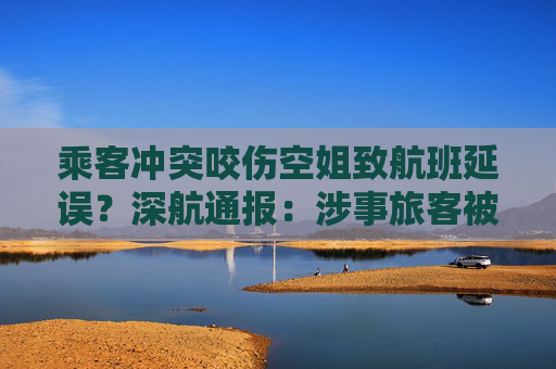乘客沖突咬傷空姐致航班延誤？深航通報：涉事旅客被移交警方處理  第1張