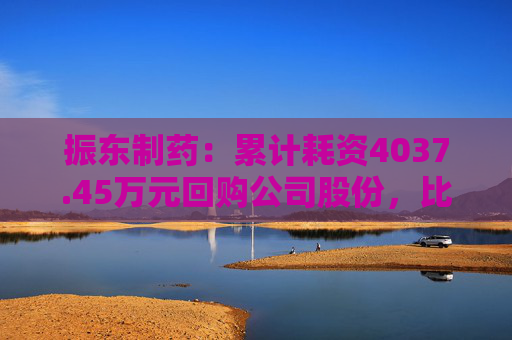 振東制藥：累計(jì)耗資4037.45萬元回購公司股份，比例達(dá)到1.00%  第1張