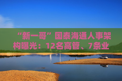 “新一哥”國泰海通人事架構(gòu)曝光：12名高管、7條業(yè)務(wù)線、41個部門浮出水面