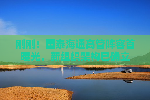剛剛！國(guó)泰海通高管陣容首曝光，新組織架構(gòu)已確立