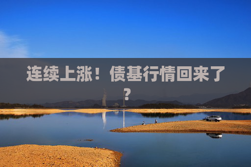 連續(xù)上漲！債基行情回來了？
