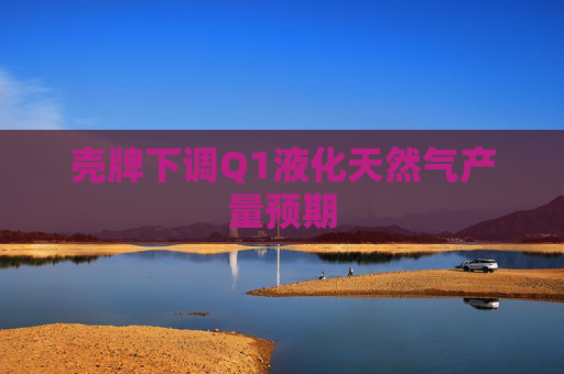 殼牌下調(diào)Q1液化天然氣產(chǎn)量預(yù)期