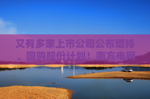又有多家上市公司公布增持、回購股份計(jì)劃！南方電網(wǎng)旗下兩公司加入