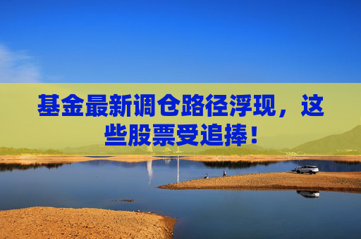 基金最新調(diào)倉路徑浮現(xiàn)，這些股票受追捧！