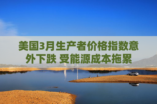 美國3月生產(chǎn)者價格指數(shù)意外下跌 受能源成本拖累