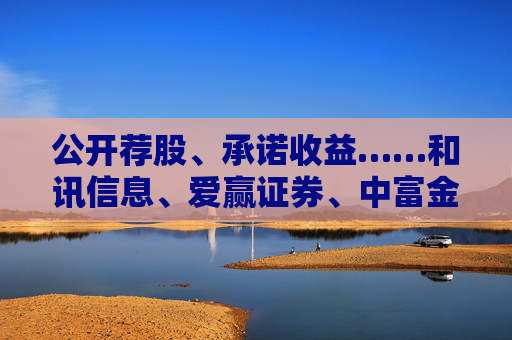 公開薦股、承諾收益……和訊信息、愛贏證券、中富金石等多家第三方投顧被罰