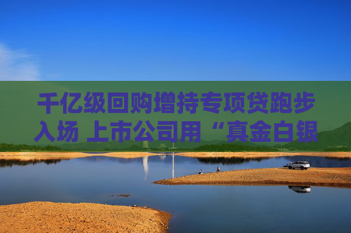 千億級回購增持專項貸跑步入場 上市公司用“真金白銀”提振信心