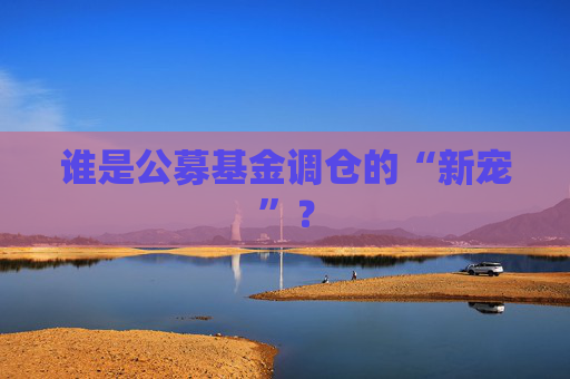 誰是公募基金調(diào)倉的“新寵”？