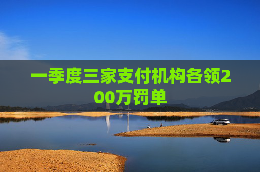 一季度三家支付機(jī)構(gòu)各領(lǐng)200萬(wàn)罰單