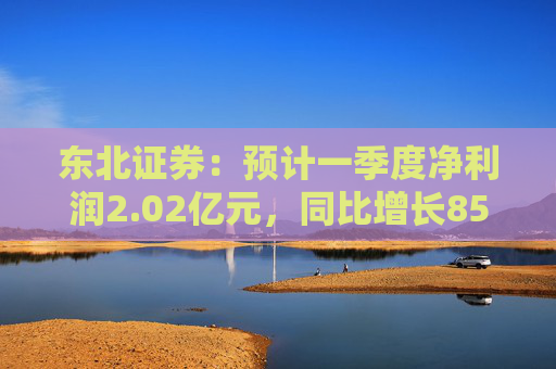 東北證券：預(yù)計一季度凈利潤2.02億元，同比增長859.84%
