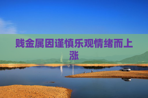 賤金屬因謹(jǐn)慎樂(lè)觀情緒而上漲
