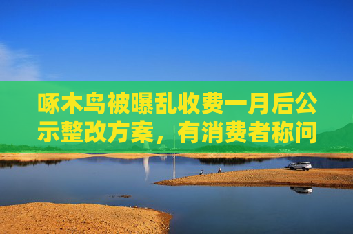 啄木鳥被曝亂收費(fèi)一月后公示整改方案，有消費(fèi)者稱問題仍未解決