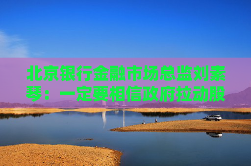 北京銀行金融市場總監(jiān)劉素琴：一定要相信政府拉動(dòng)股市的決心