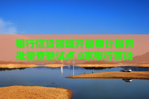 銀行信貸領(lǐng)域開展審計報告批量查驗試點 8家銀行首批參與