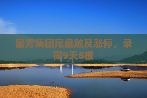 國芳集團(tuán)尾盤觸及漲停，錄得9天8板