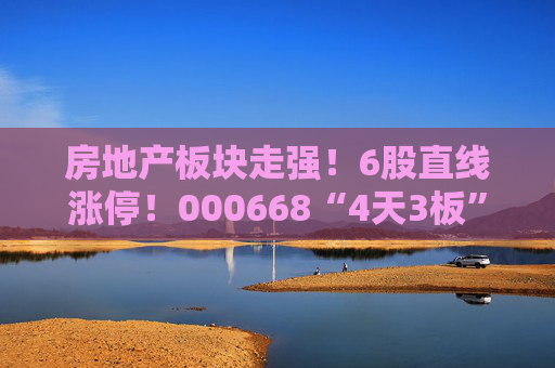 房地產(chǎn)板塊走強(qiáng)！6股直線漲停！000668“4天3板”