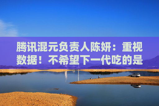 騰訊混元負(fù)責(zé)人陳妍：重視數(shù)據(jù)！不希望下一代吃的是大模型吐出來(lái)的垃圾
