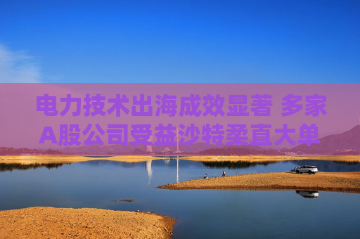 電力技術(shù)出海成效顯著 多家A股公司受益沙特柔直大單