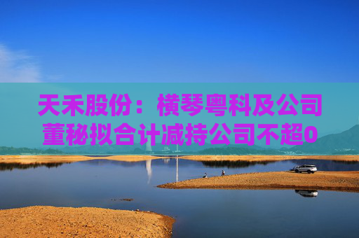 天禾股份：橫琴粵科及公司董秘擬合計減持公司不超0.37%股份