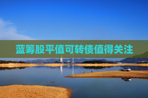 藍(lán)籌股平值可轉(zhuǎn)債值得關(guān)注