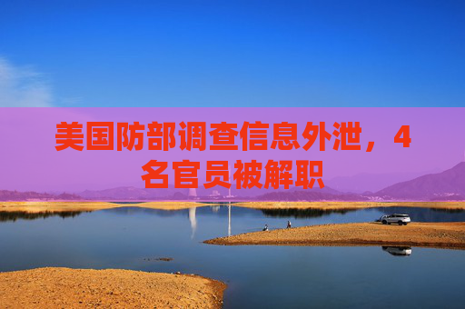 美國防部調(diào)查信息外泄，4名官員被解職