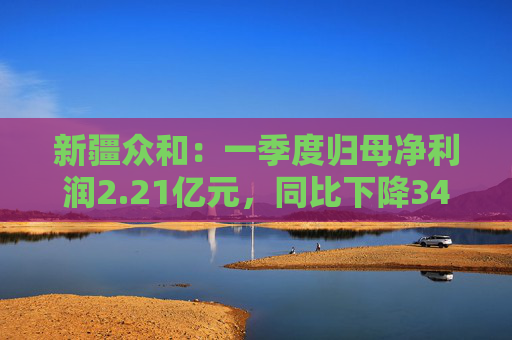 新疆眾和：一季度歸母凈利潤(rùn)2.21億元，同比下降34.36%