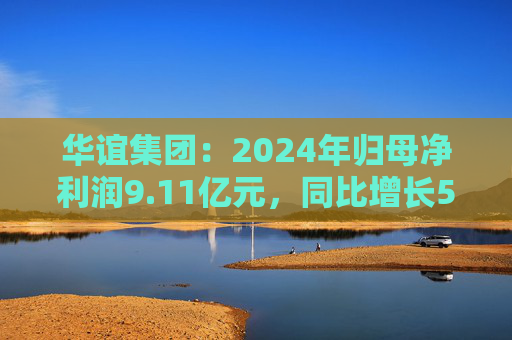 華誼集團(tuán)：2024年歸母凈利潤9.11億元，同比增長5.76%
