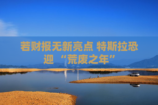 若財報無新亮點 特斯拉恐迎 “荒廢之年”