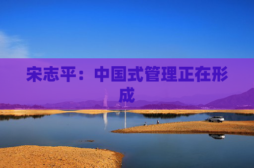 宋志平：中國(guó)式管理正在形成