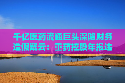 千億醫(yī)藥流通巨頭深陷財務(wù)造假疑云：重藥控股年報違規(guī)拷問行業(yè)整合隱憂