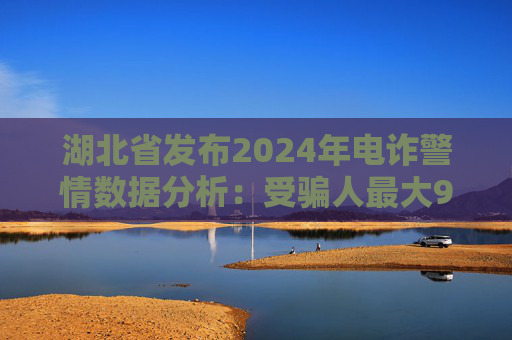 湖北省發(fā)布2024年電詐警情數(shù)據(jù)分析：受騙人最大96歲最小僅6歲