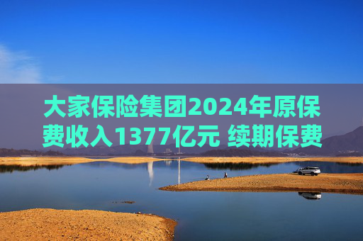大家保險(xiǎn)集團(tuán)2024年原保費(fèi)收入1377億元 續(xù)期保費(fèi)首次超越新單保費(fèi)