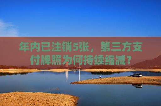 年內(nèi)已注銷5張，第三方支付牌照為何持續(xù)縮減？
