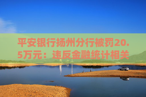 平安銀行揚(yáng)州分行被罰20.5萬元：違反金融統(tǒng)計(jì)相關(guān)規(guī)定、違反賬戶管理規(guī)定、違反網(wǎng)絡(luò)安全管理規(guī)定