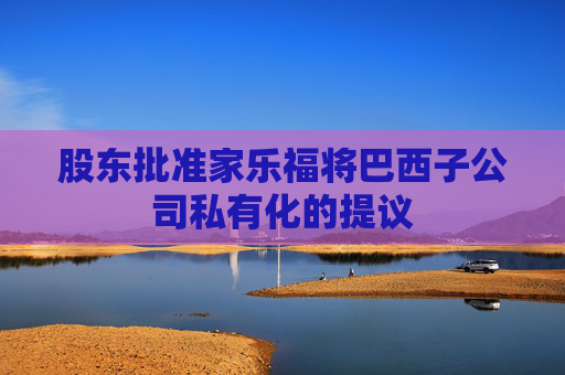 股東批準(zhǔn)家樂(lè)福將巴西子公司私有化的提議