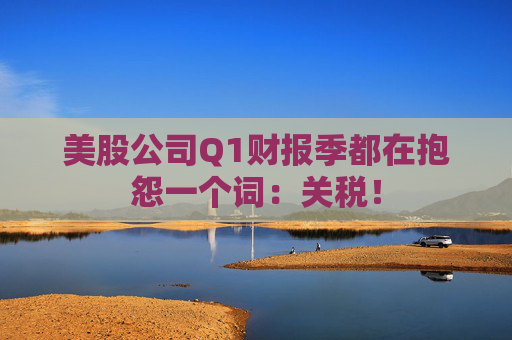 美股公司Q1財(cái)報(bào)季都在抱怨一個(gè)詞：關(guān)稅！  第1張