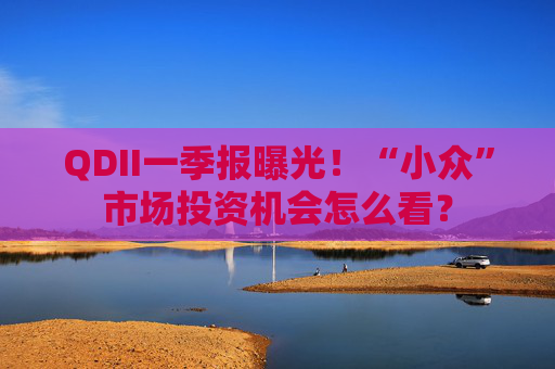 QDII一季報曝光！“小眾”市場投資機會怎么看？