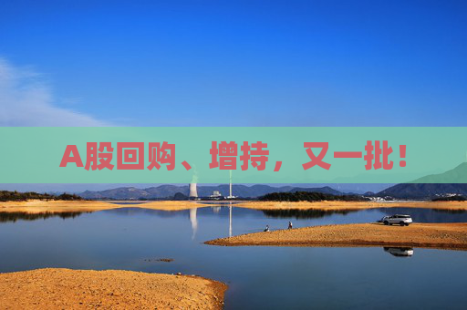 A股回購、增持，又一批！