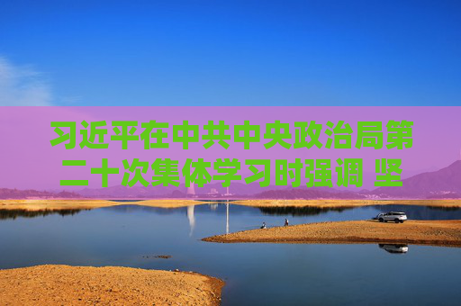 習(xí)近平在中共中央政治局第二十次集體學(xué)習(xí)時強(qiáng)調(diào) 堅(jiān)持自立自強(qiáng) 突出應(yīng)用導(dǎo)向 推動人工智能健康有序發(fā)展