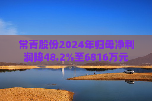 常青股份2024年歸母凈利潤(rùn)降48.2%至6816萬元