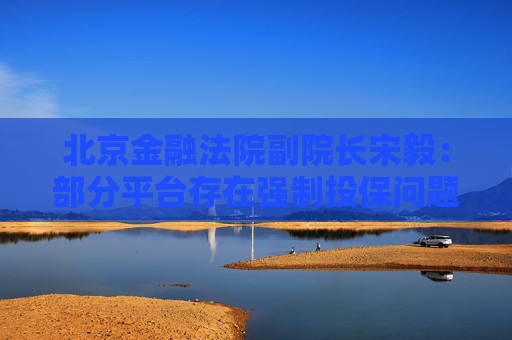 北京金融法院副院長宋毅：部分平臺(tái)存在強(qiáng)制投保問題