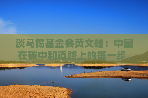 淡馬錫基金會黃文雄：中國在碳中和道路上的每一步，都是為世界樹立標(biāo)桿
