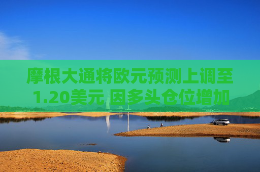 摩根大通將歐元預(yù)測上調(diào)至1.20美元 因多頭倉位增加