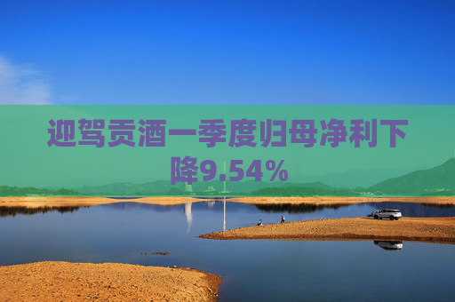 迎駕貢酒一季度歸母凈利下降9.54%