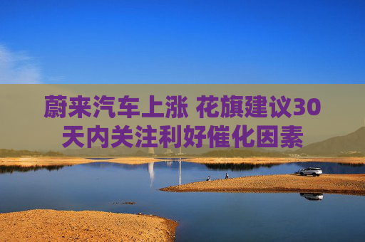 蔚來(lái)汽車(chē)上漲 花旗建議30天內(nèi)關(guān)注利好催化因素